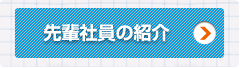 先輩社員の紹介