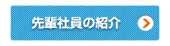 先輩社員の紹介